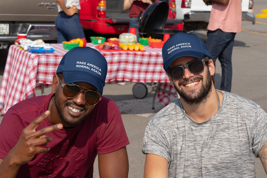 Make America Normal Again cap