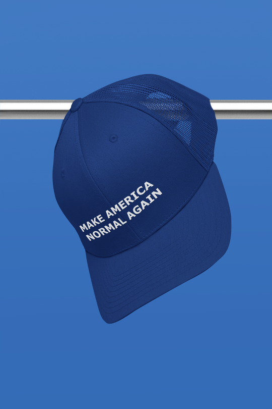 Make America Normal Again cap